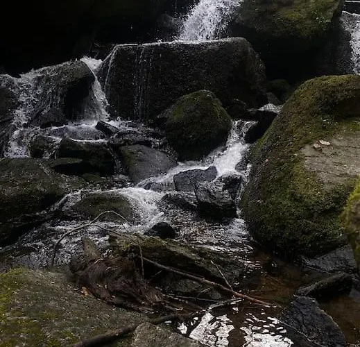 Appartamento Castle Hill I *